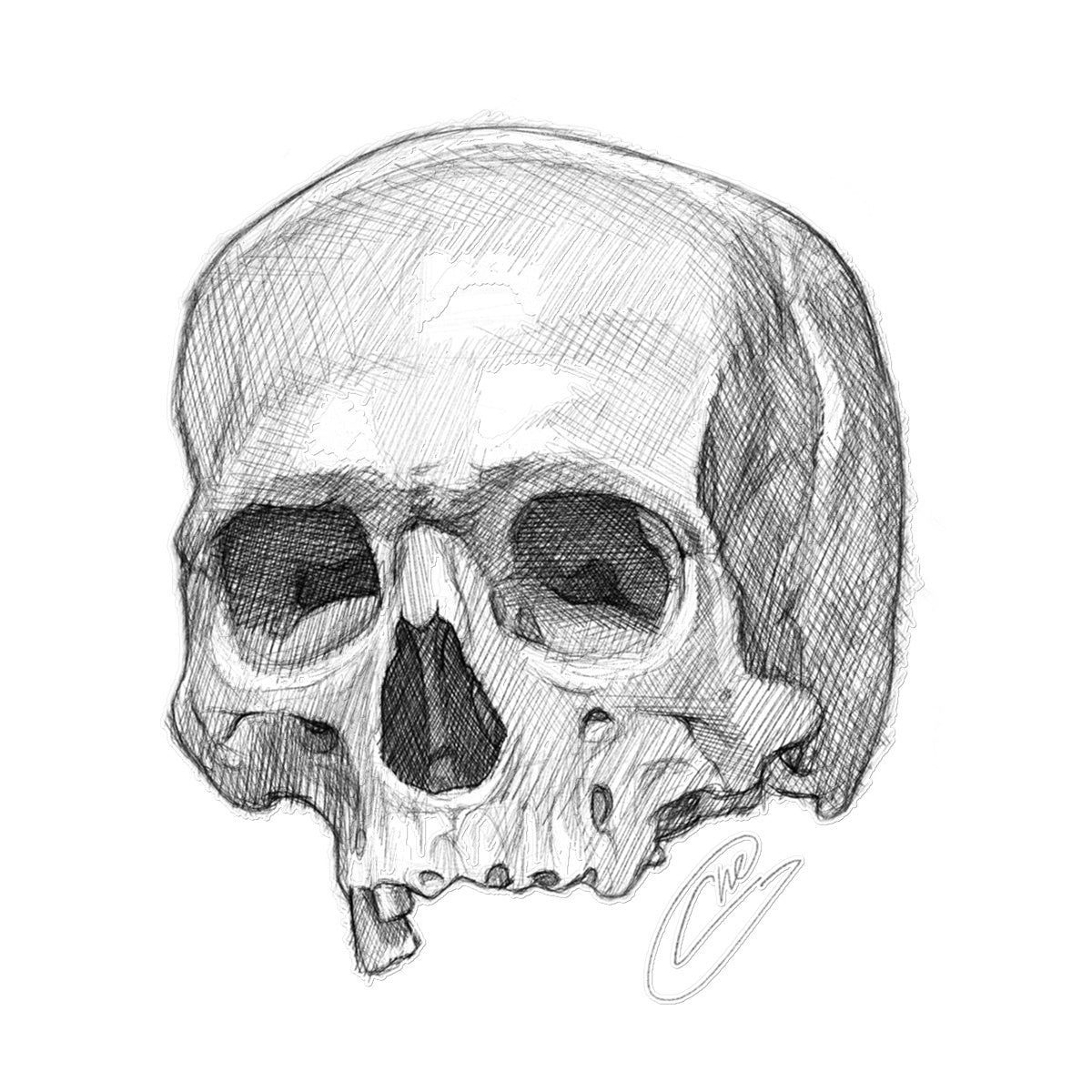Skull Sketch Temporary Tattoo - Tattoo Product