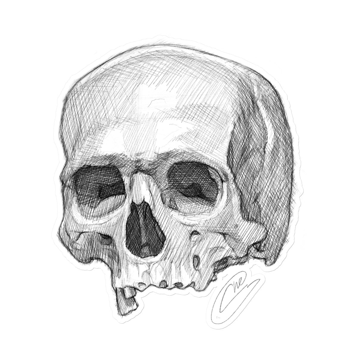 Skull Sketch Sticker