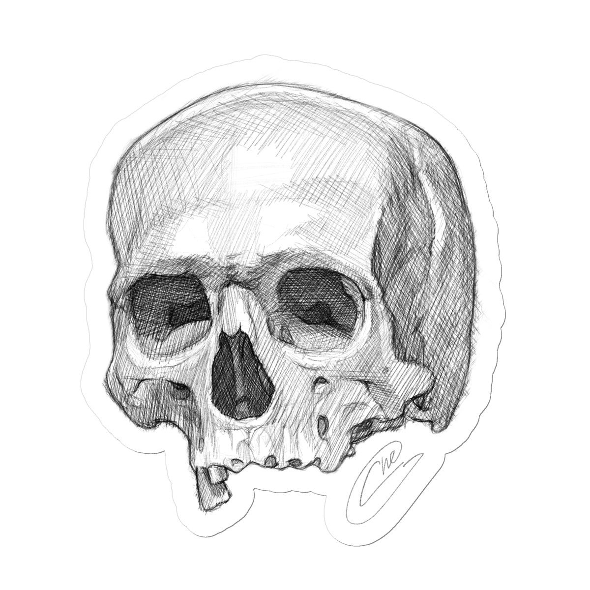 Skull Sketch Sticker